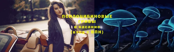 стафф Армянск