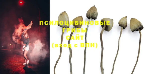 стафф Армянск