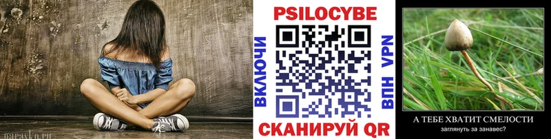 блэк спрут ссылка  Полысаево  Галлюциногенные грибы прущие грибы 